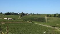 Panoramique Vignoble Boutisse